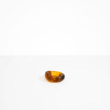 Dinosaur Designs Small Drift Dish in Tortoise color resin
