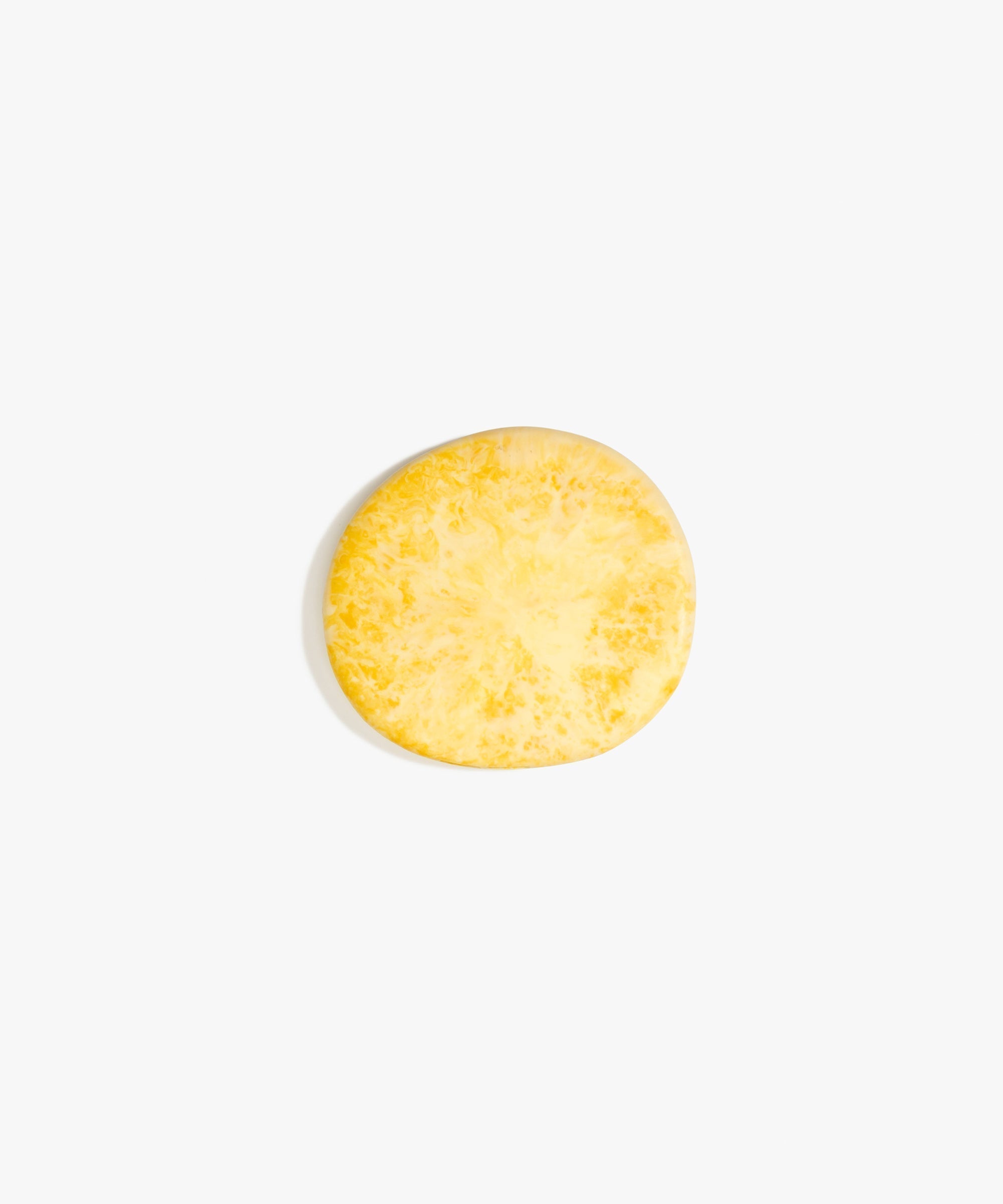 Dinosaur Designs MISTEMCST Temple Coaster DAISY