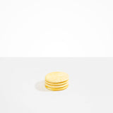 Dinosaur Designs MISTEMCST Temple Coaster DAISY