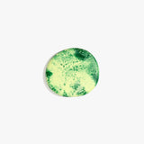 Dinosaur Designs MISTEMCST Temple Coaster GRASS