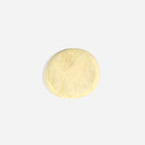 Dinosaur Designs MISTEMCST Temple Coaster LEMON