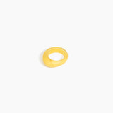 Dinosaur Designs RGERTSLA SLATE Ring POLLEN