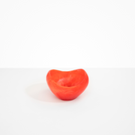 Dinosaur Designs Medium Beetle Bowl in Lychee color resin