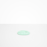 Dinosaur Designs Temple Side Plate in Mint color resin