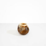 Dinosaur Designs Medium Moss Vase in Light Horn color resin