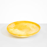 Dinosaur Designs Atelier Salad Bowl in Daisy color resin