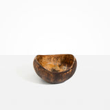 Dinosaur Designs Large Beetle Bowl in Dark Horn color resin