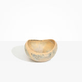 Dinosaur Designs Large Beetle Bowl in Sandy Pearl color resin
