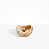 Dinosaur Designs Medium Beetle Bowl in Light Horn color resin
