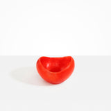 Dinosaur Designs Medium Beetle Bowl in Poppy color resin