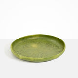 Dinosaur Designs Grand Earth Bowl in Olive color resin