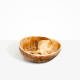 Dinosaur Designs Flow Salad Bowl in Light Horn color resin