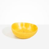 Dinosaur Designs BWLFLOSAL flow salad bowl POLLEN