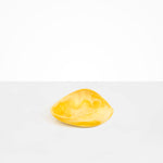 Dinosaur Designs Small Leaf Bowl in Daisy color resin
