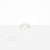 Dinosaur Designs colored Glass Pebble Carafe cup and jug set in transparent clear.