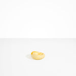 Dinosaur Designs Small Drift Dish in Daisy color resin