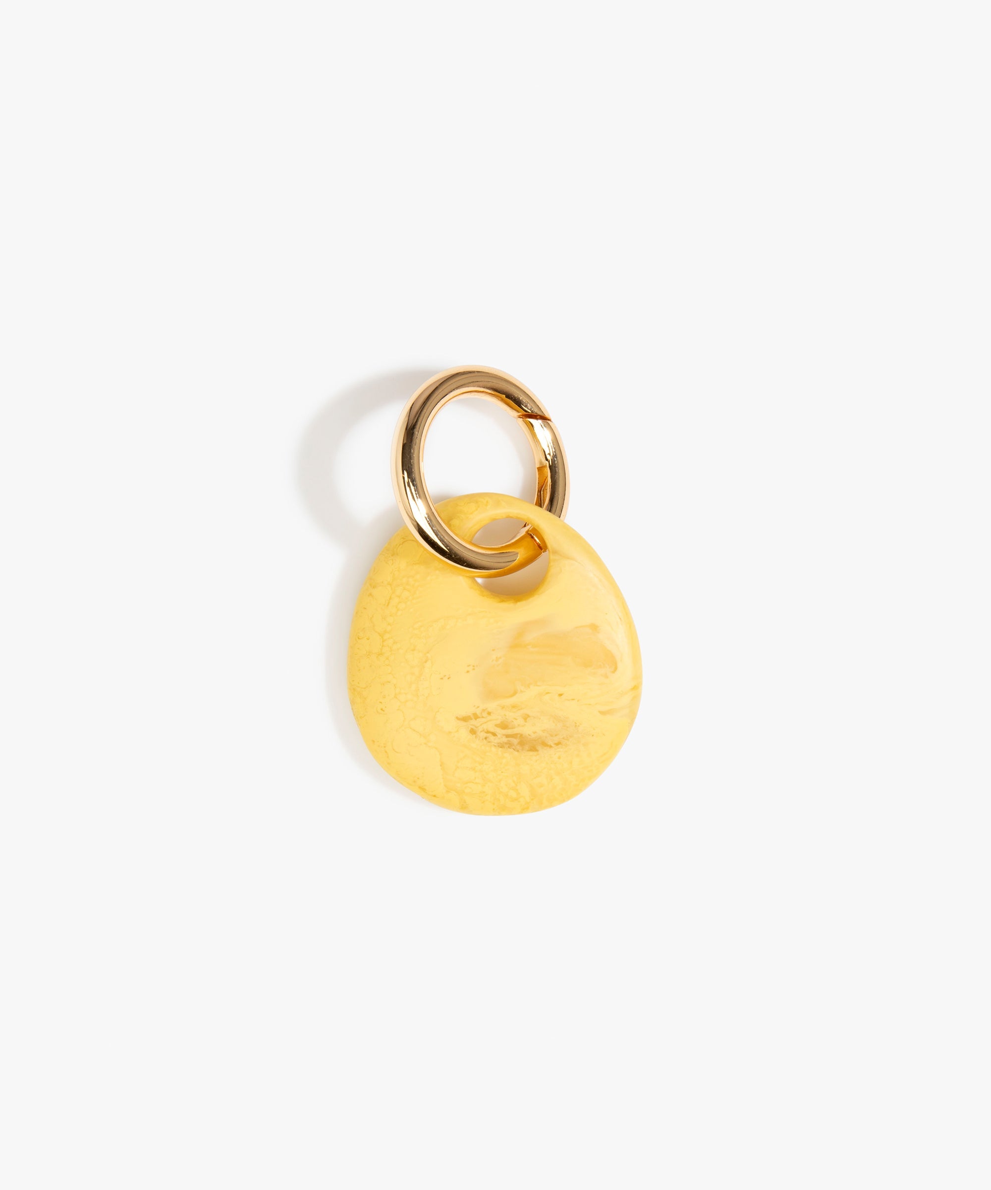 Dinosaur Designs KEYPLNERT BRA earth keyring POLLEN