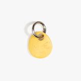 Dinosaur Designs KEYPLNERT GM earth keyring POLLEN