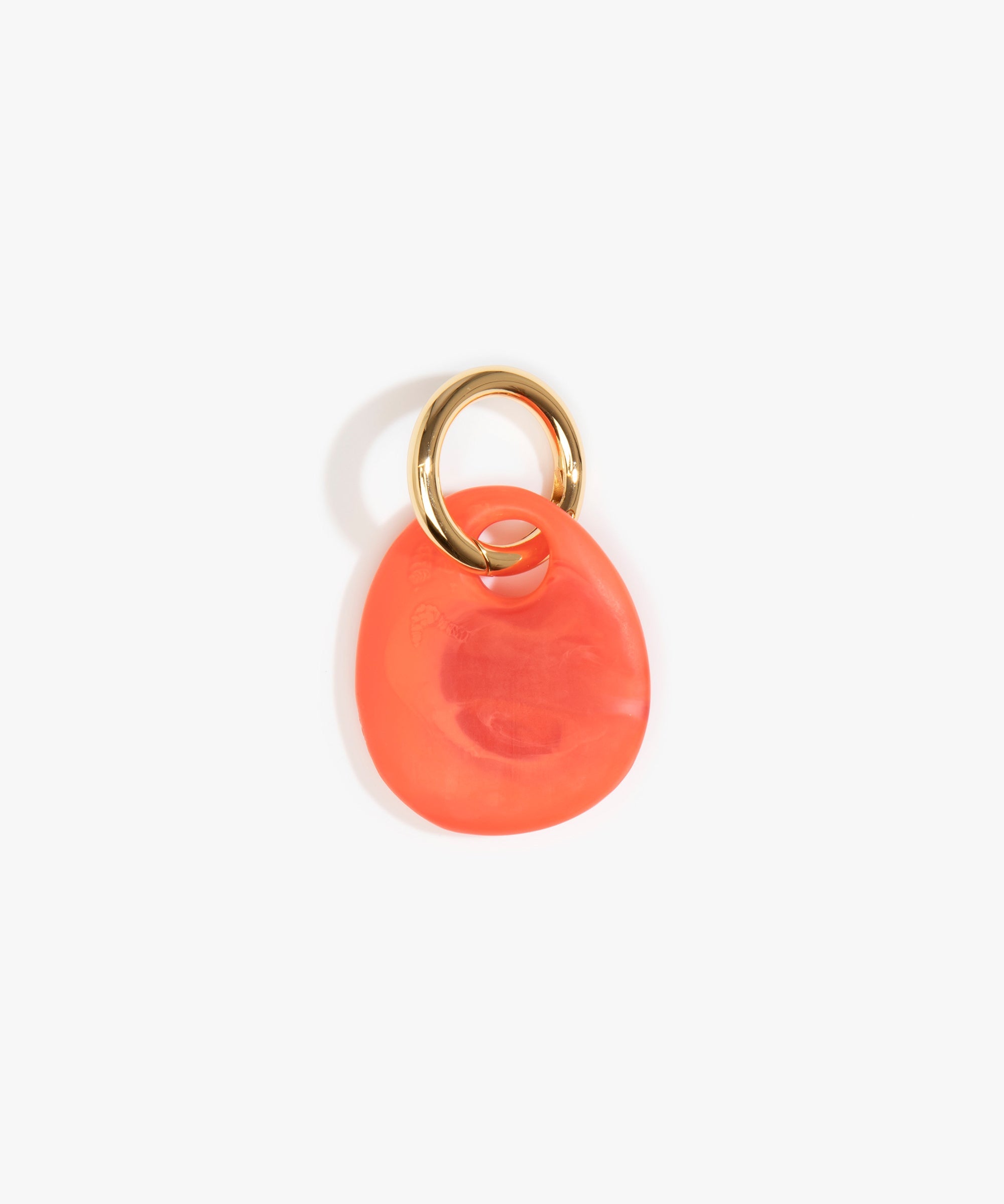 Dinosaur Designs Earth Keyring in Lychee color resin with Brass Metal