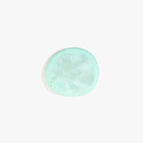 Dinosaur Designs MISTEMCST temple coaster MINT