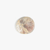Dinosaur Designs MISTEMCST temple coaster SANDY PEARL