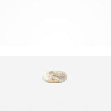 Dinosaur Designs Temple Coaster in Sandy Pearl color resin