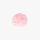 Dinosaur Designs MISTEMCST temple coaster SHELL PINK