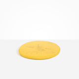 Dinosaur Designs PLRTEMCHE temple cheese platter POLLEN