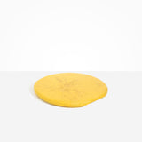 Dinosaur Designs PLRTEMCHE temple cheese platter POLLEN