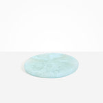 Dinosaur Designs PLRTEMCHE temple cheese platter POOL
