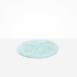 Dinosaur Designs PLRTEMCHE temple cheese platter POOL