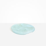 Dinosaur Designs PLRTEMCHE temple cheese platter POOL