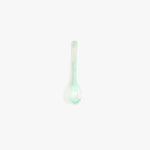 Dinosaur Designs Stone Spoon in Mint color resin