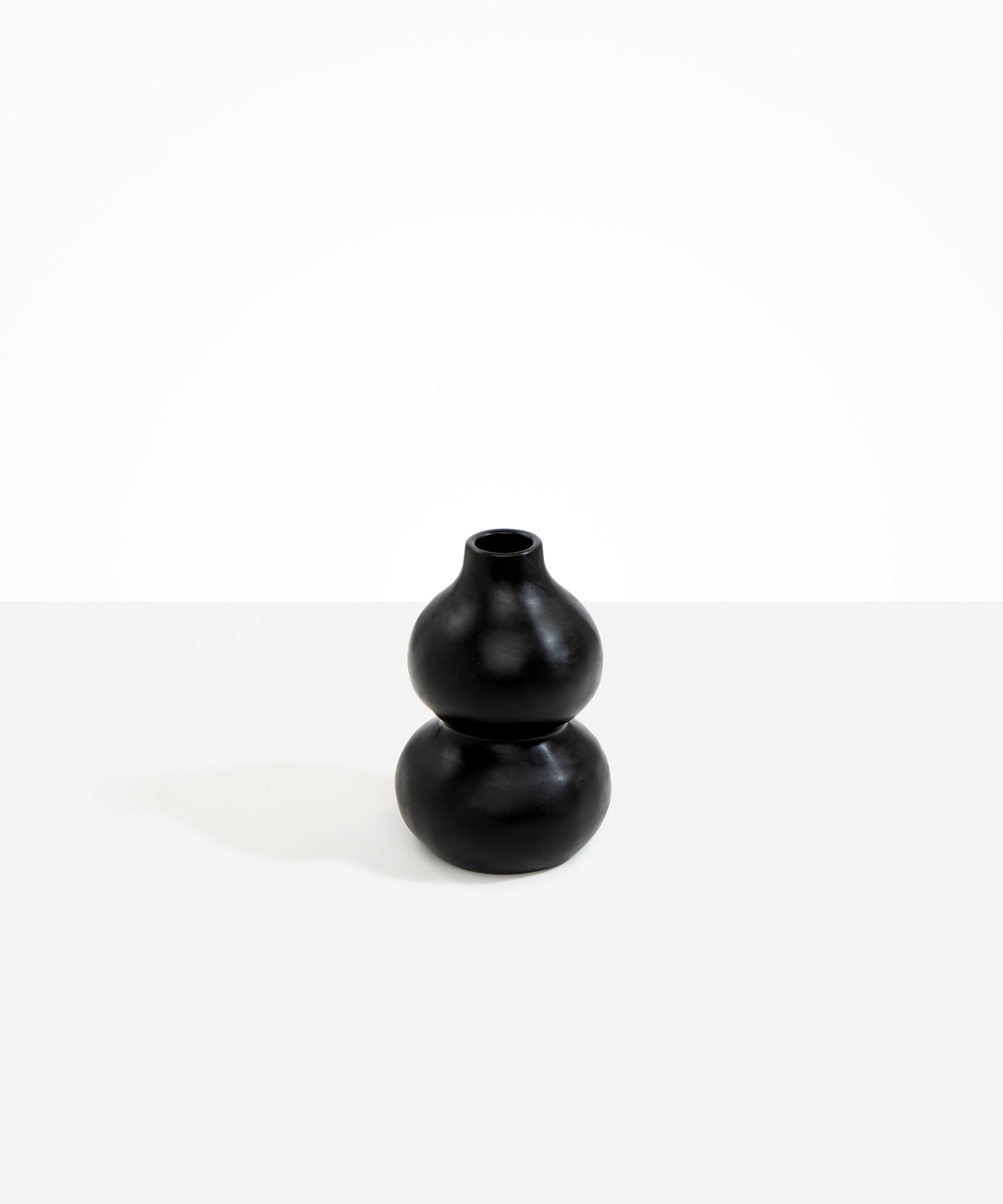 Dinosaur Designs Lotus Seed Vase in Black color resin