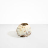 Dinosaur Designs Volcanic Vase in Cappuccino color resin