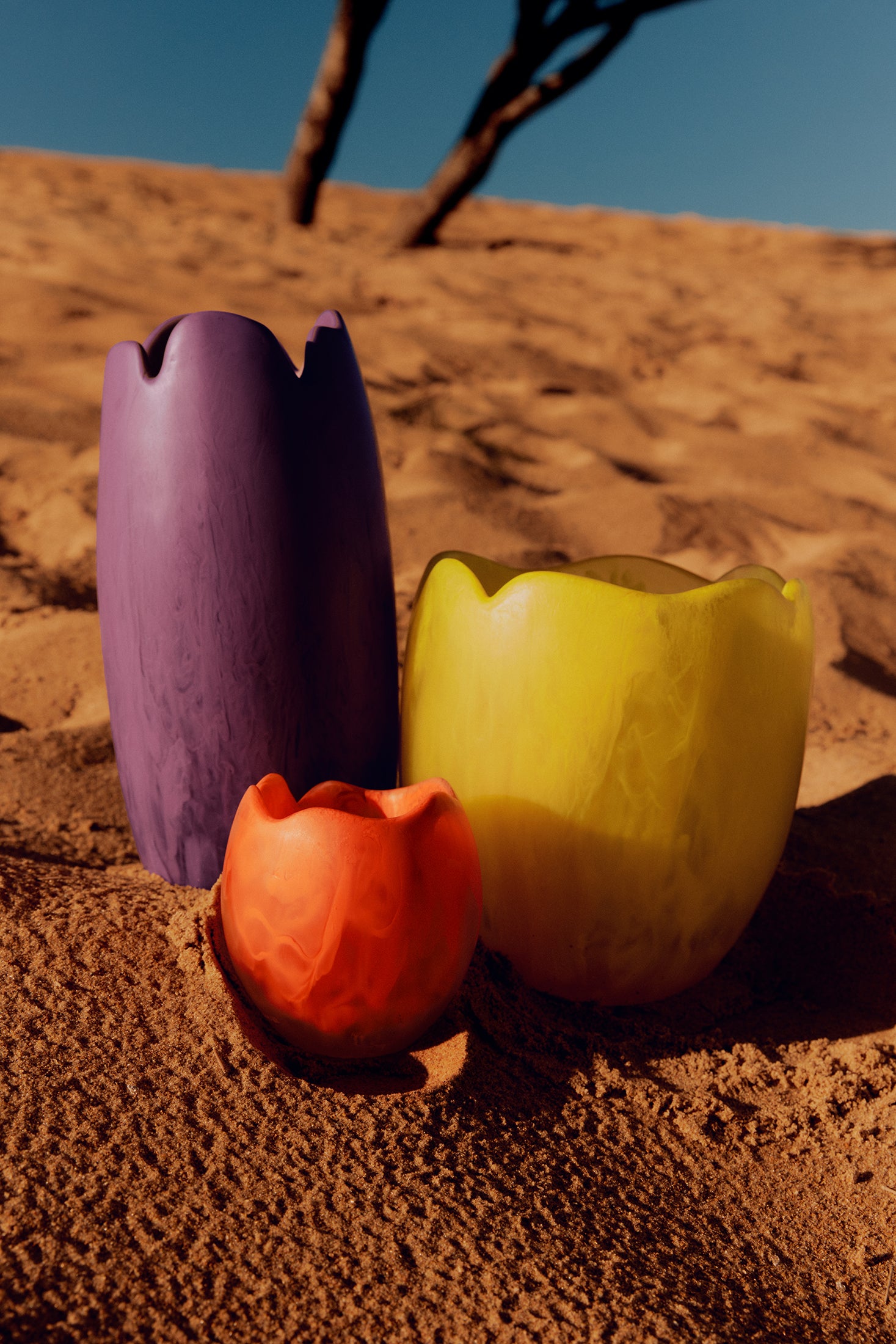 In Focus: Paradise Vases
