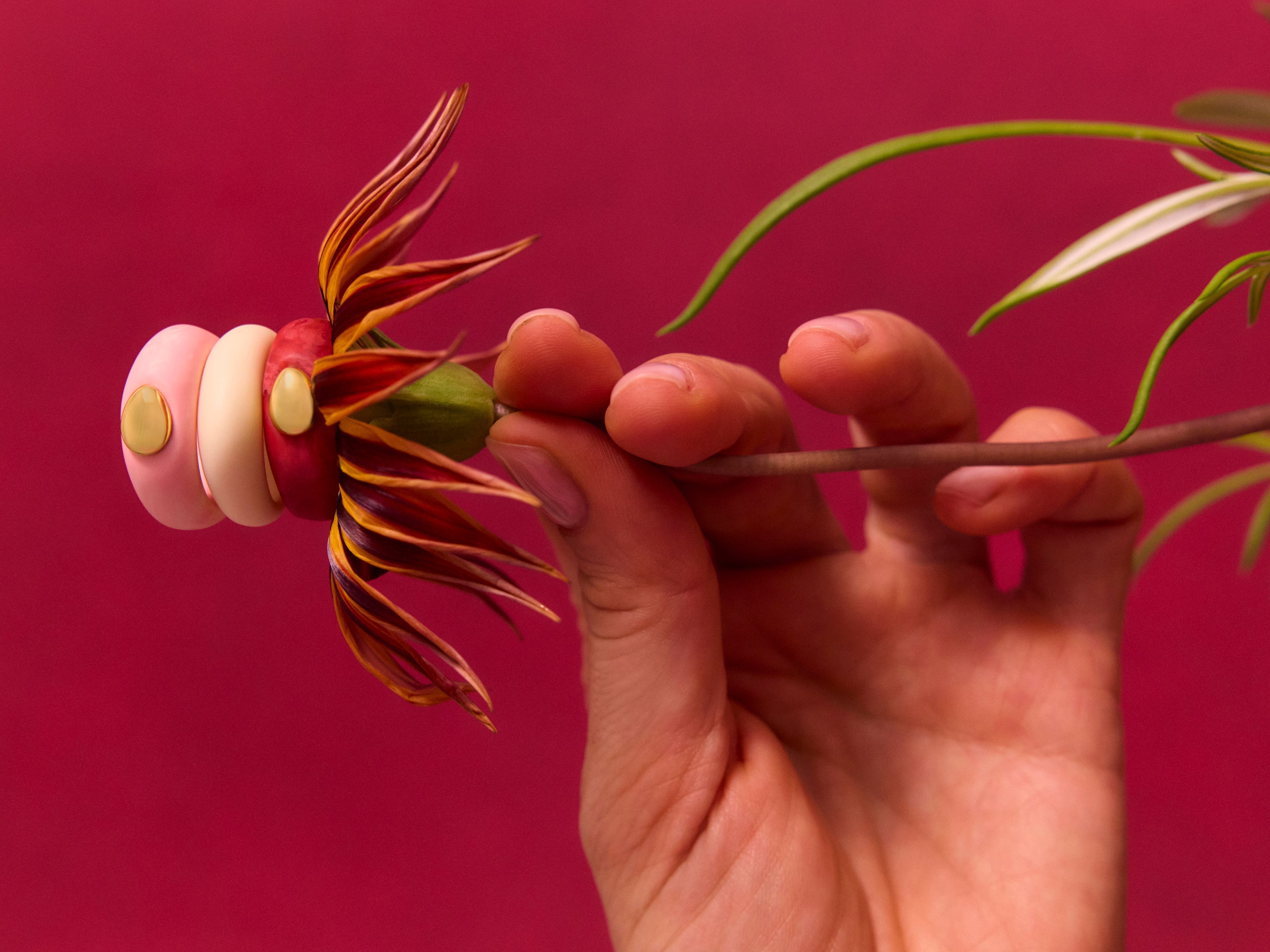 Blossom | Seasonal Edit