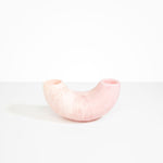 Dinosaur Designs Medium Horn Vase Vases in Shell Pink color resin 