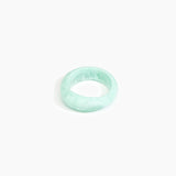 Dinosaur Designs Earth Bangle in Mint Colour resin with Regular Fit.