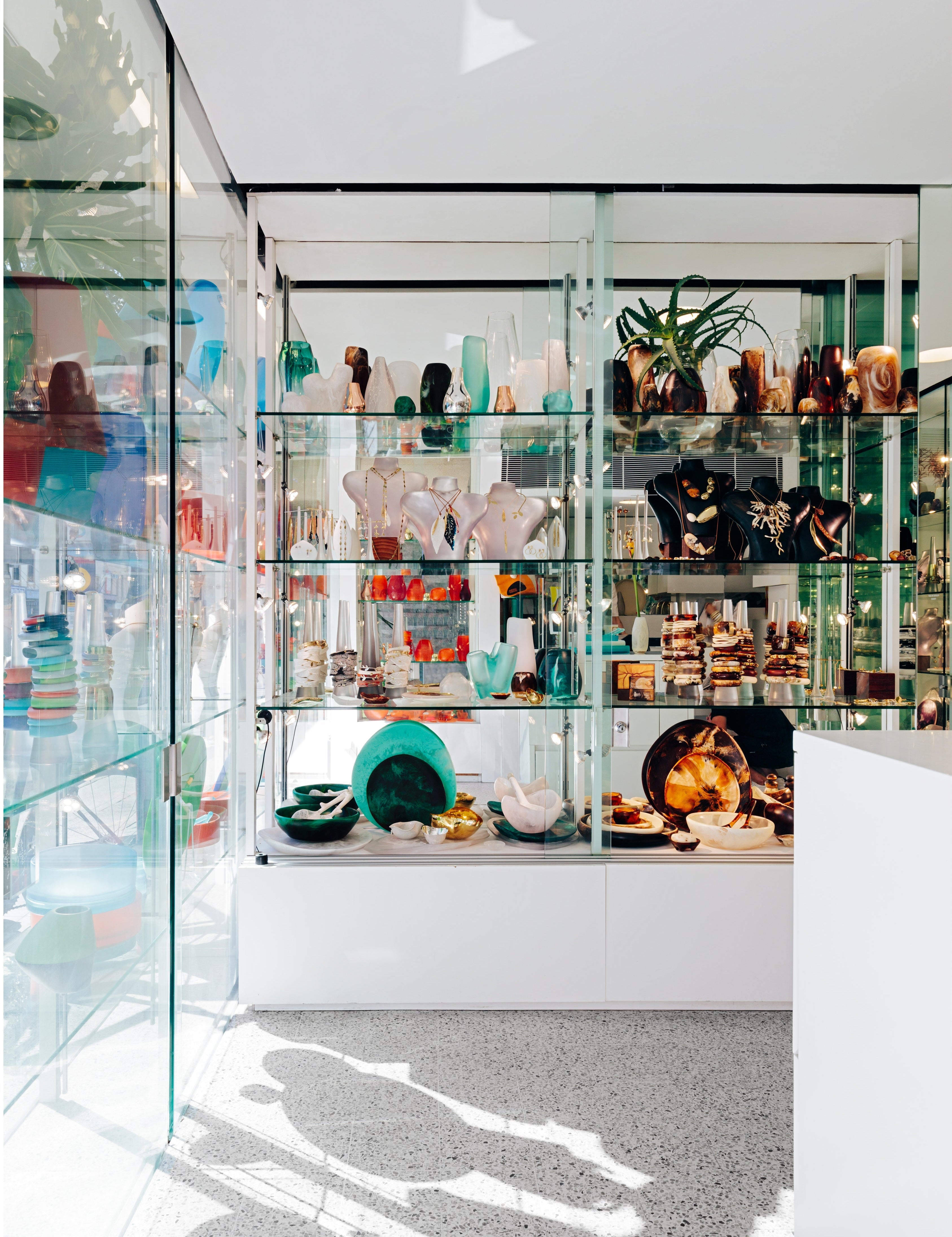 DINOSAUR-DESIGNS-PADDINGTON-STORE