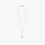 Dinosaur Designs Joie De Vivre Pendant Necklaces in Lemon Colour resin with Gold-Filled Material