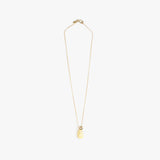 Dinosaur Designs Joie De Vivre Pendant Necklaces in Lemon Colour resin with Gold-Filled Material