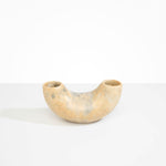 Dinosaur Designs Medium Horn Vase Vases in Sandy Pearl color resin 
