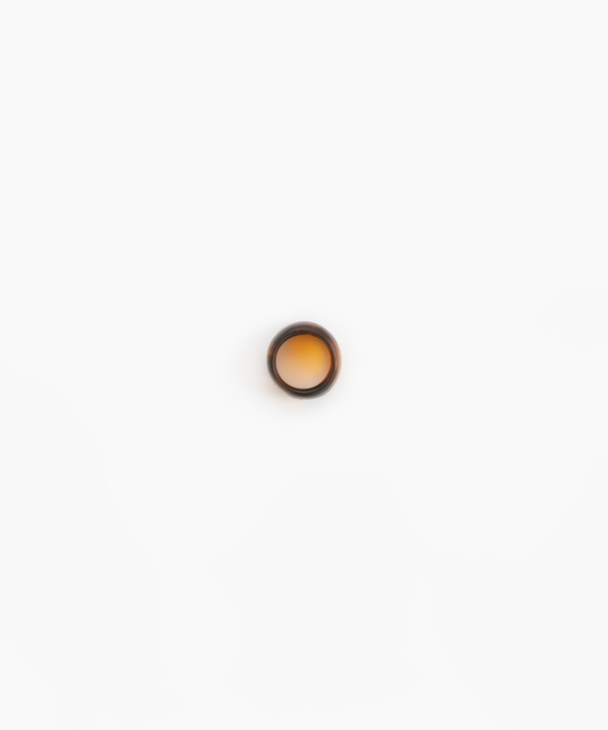 Dinosaur Designs Band Ring in Tortoise Colour resin with Wide Fit