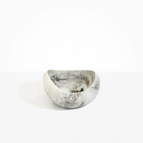 Large Beetle Bowl