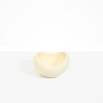 Dinosaur Designs Medium Beetle Bowl in Cream Colour resin