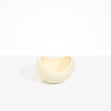 Dinosaur Designs Medium Beetle Bowl in Cream Colour resin