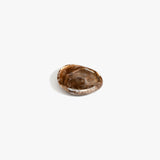 Dinosaur Designs Bones Dish in Cappuccino — small handcrafted brown and cream marbled resin trinket dish with organic form