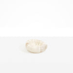 Dinosaur Designs Drift Dish in Chalk Swirl Colour resin