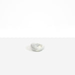 Dinosaur Designs DSHPLNDRFS Small Drift Dish POLLEN...